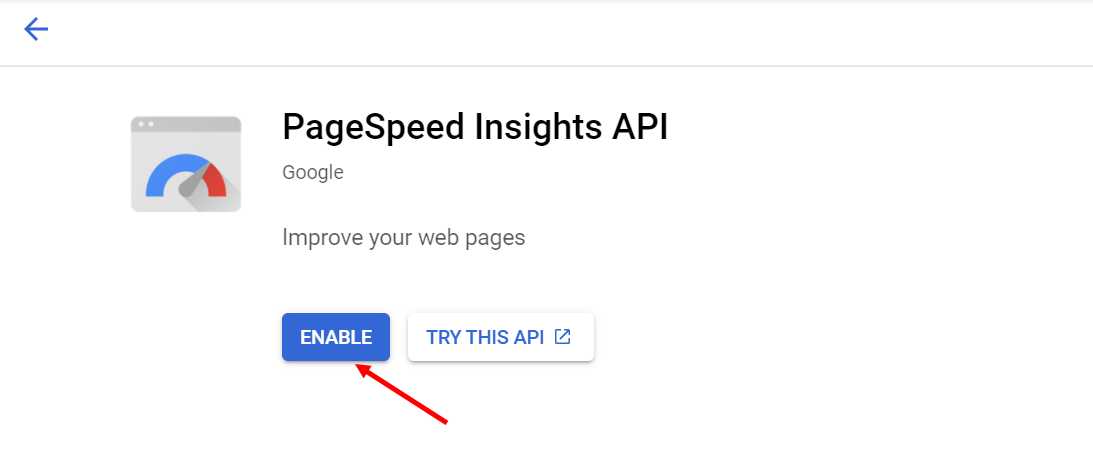 PageSpeed Insights.png